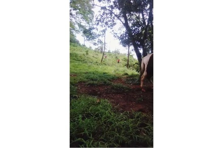 15 HECTARES (37.06 ACRES) WITH PANORAMIC OCEAN VIEW FOR SALE, PIXVAE, VERAGUAS.