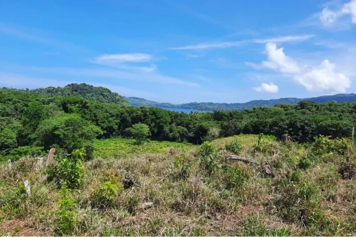 THE PROPERTY HAS TITLE OF PROPERTY, IS OF GREAT DIMENSION 16 HECTARES,...