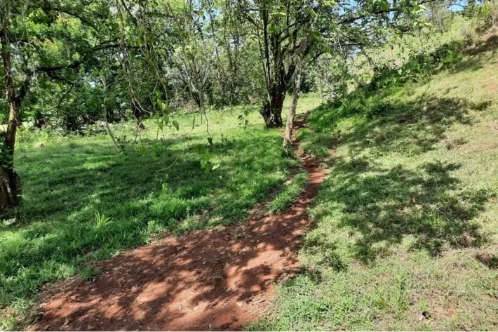 THE PROPERTY HAS TITLE OF PROPERTY, IS OF GREAT DIMENSION 16 HECTARES,...
