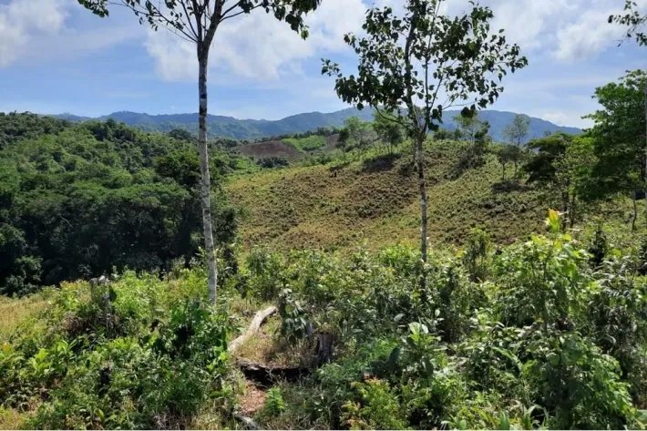 SE VENDE PROPIEDAD DE GRAN DIMENSION CON VISTAS PANORAMICAS EN PIXVAE, VERAGUAS