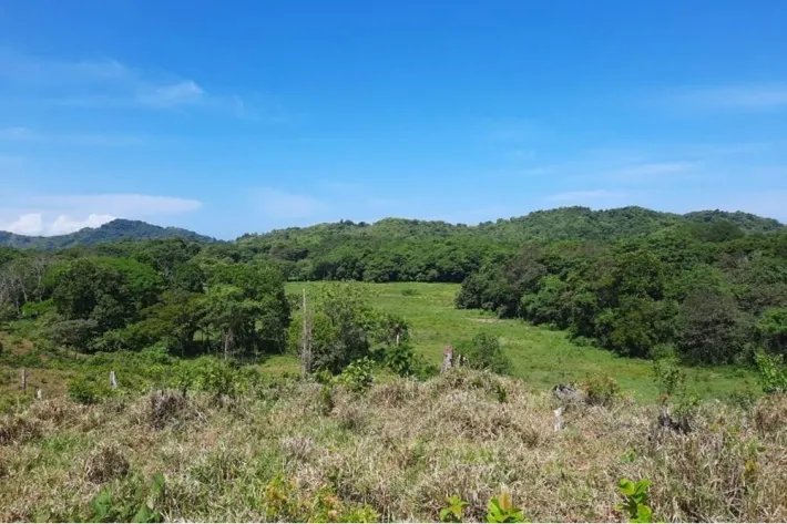 20 HECTARES (49.42 ACRES) PROPERTY FOR SALE WITH PANORAMIC OCEAN VIEWS...