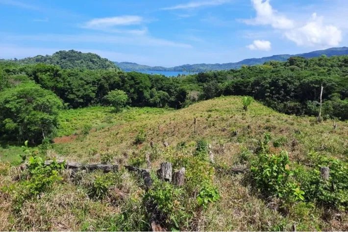 SE VENDE PROPIEDAD DE 20 HECTAREAS (49.42 ACRES) CON VISTAS PANORAMICAS DEL OCEANO, PIXVAE. VERAGUAS