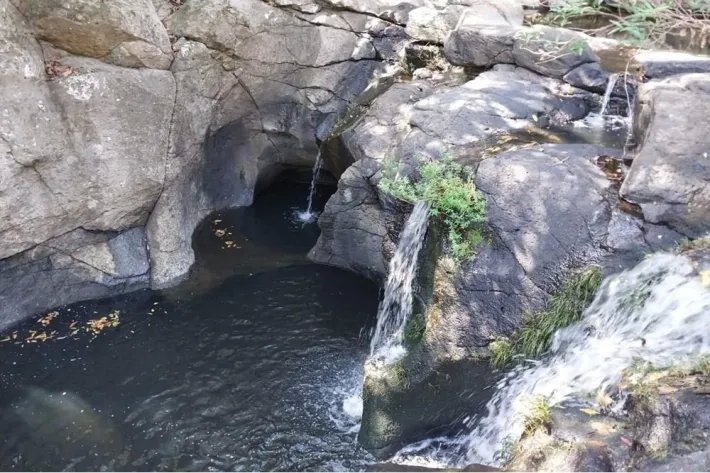 Se Vende Propiedad de 2.5 hectareas en Las Lajas de Coronado, con rio ...