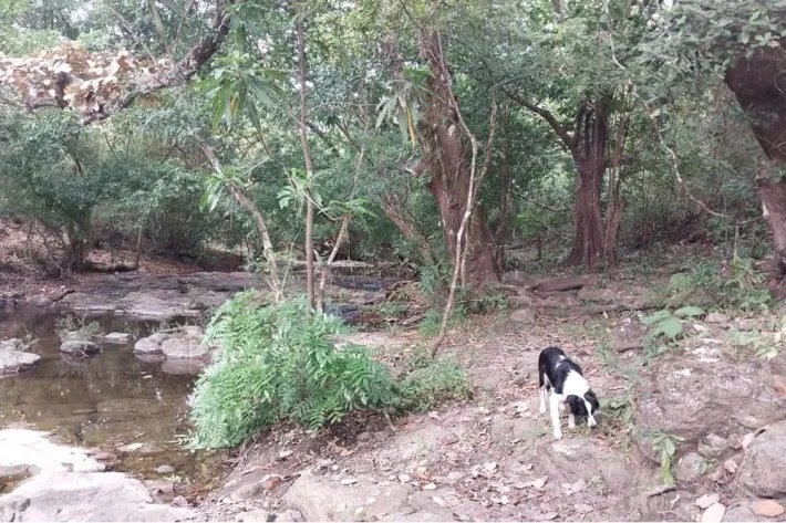 For Sale 2.5 hectares property in Las Lajas de Coronado, with river and waterfalls.