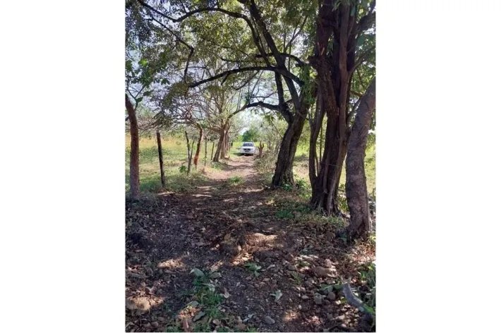 For Sale 2.5 hectares property in Las Lajas de Coronado, with river and waterfalls.