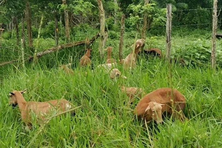 Se vende terreno en La Chorrera, El Espino