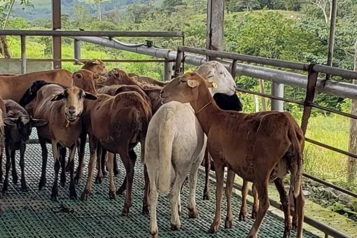 Se vende terreno en La Chorrera, El Espino