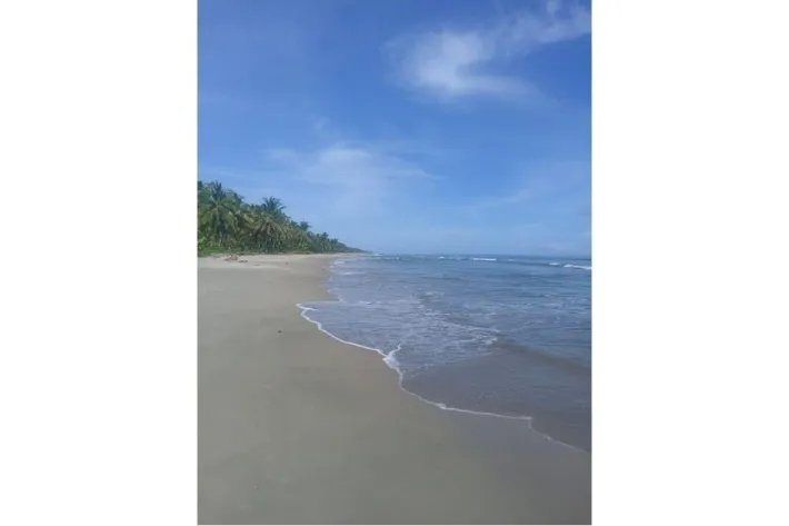 4 HECTARES PROPERTY FOR SALE IN FRONT OF THE CARIBBEAN SEA, CALOVEBORA...