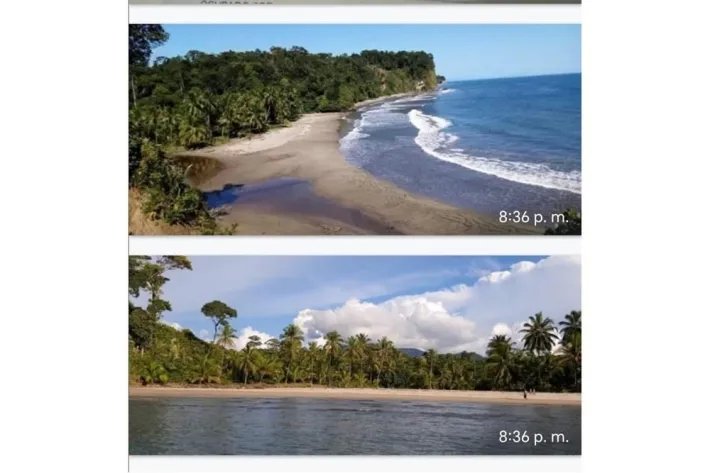 4 HECTARES PROPERTY FOR SALE IN FRONT OF THE CARIBBEAN SEA, CALOVEBORA...