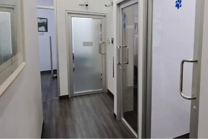 Veterinary business for sale in Panama
