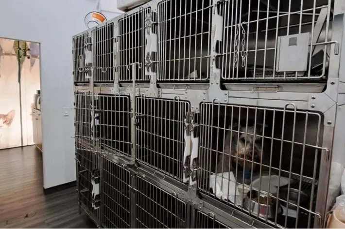 Veterinary business for sale in Panama