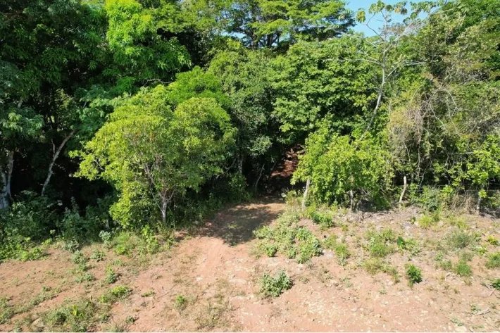 Se vende finca en El Copecito, San Carlos