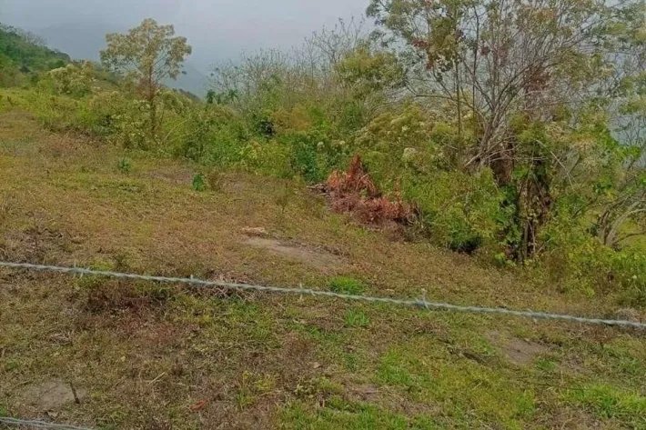 Land for sale in Capira, West Panama