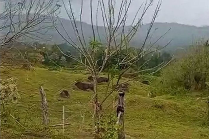 Land for sale in Capira, West Panama
