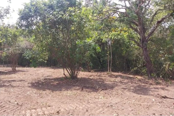 Land for sale in El Espino, San Carlos, West Panama