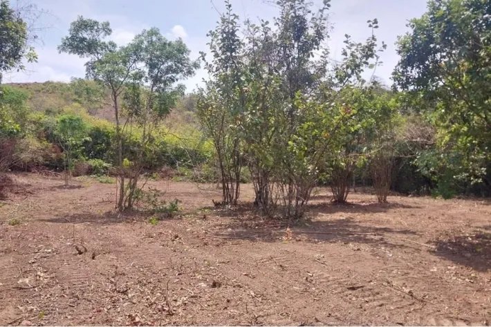 Land for sale in El Espino, San Carlos, West Panama