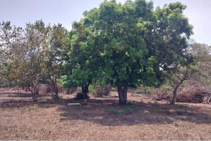 Land for sale in El Espino, San Carlos, West Panama