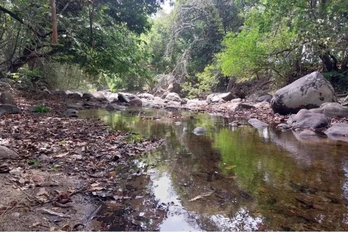 Venta de terreno en El Espino, San Carlos, Panamá Oeste