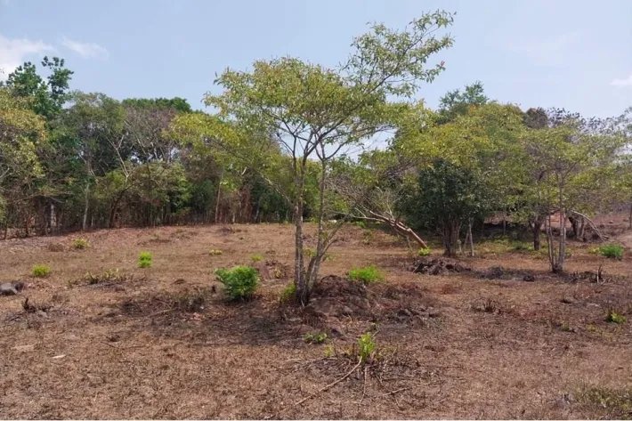 Venta de terreno en El Espino, San Carlos, Panamá Oeste