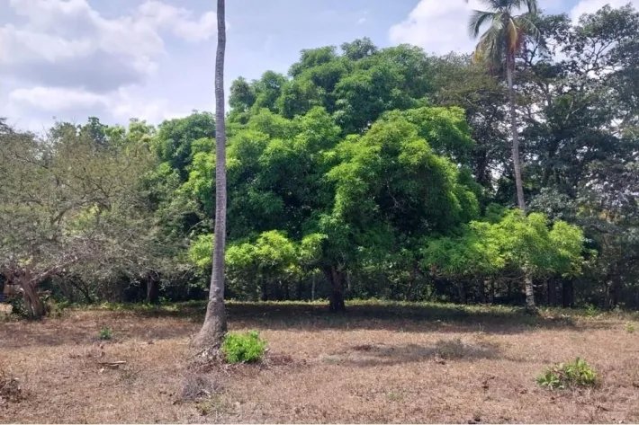 Venta de terreno en El Espino, San Carlos, Panamá Oeste