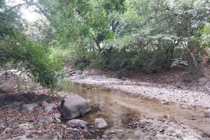 Venta de terreno en El Espino, San Carlos, Panamá Oeste