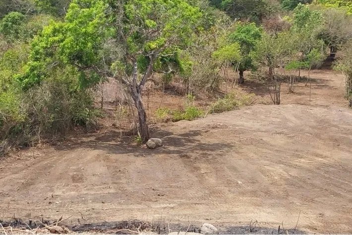 Venta de terreno en El Espino, San Carlos, Panamá Oeste