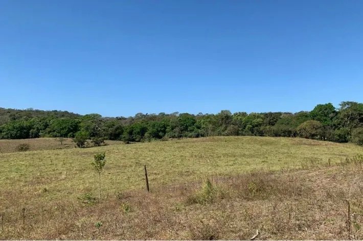 Horse and cattle farm for sale in Playa Hicaco, Santa Catalina, Veragu...