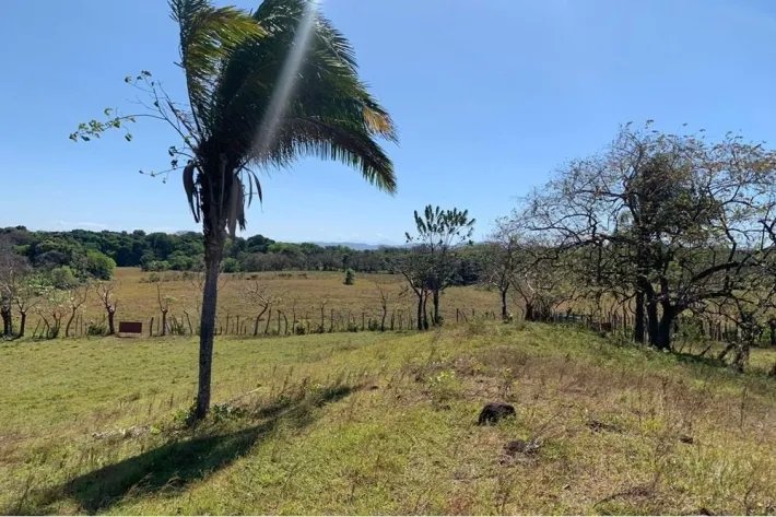 Horse and cattle farm for sale in Playa Hicaco, Santa Catalina, Veraguas