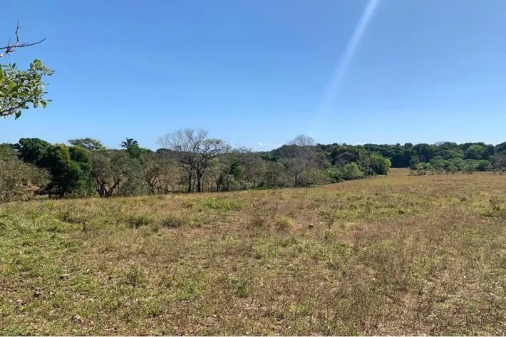 Horse and cattle farm for sale in Playa Hicaco, Santa Catalina, Veraguas