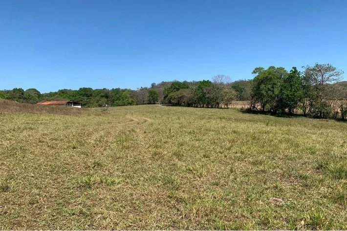 Horse and cattle farm for sale in Playa Hicaco, Santa Catalina, Veraguas