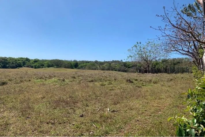 Horse and cattle farm for sale in Playa Hicaco, Santa Catalina, Veraguas