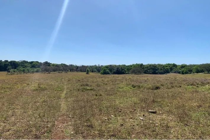 Horse and cattle farm for sale in Playa Hicaco, Santa Catalina, Veraguas