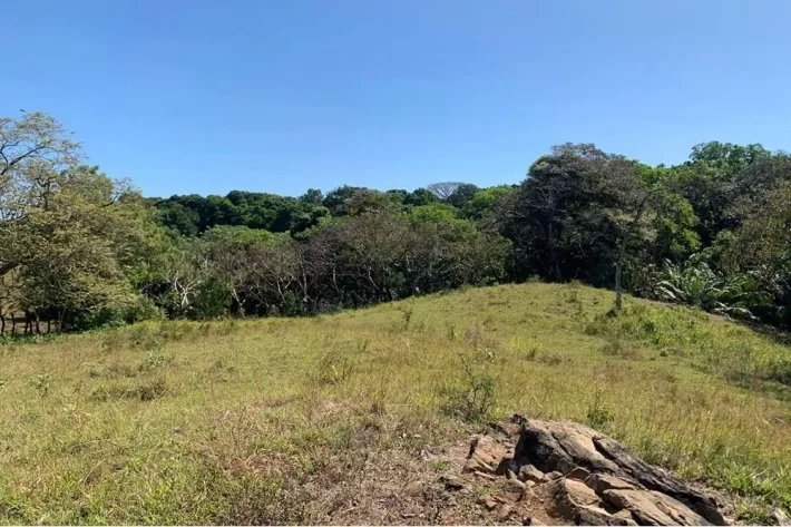 Horse and cattle farm for sale in Playa Hicaco, Santa Catalina, Veraguas