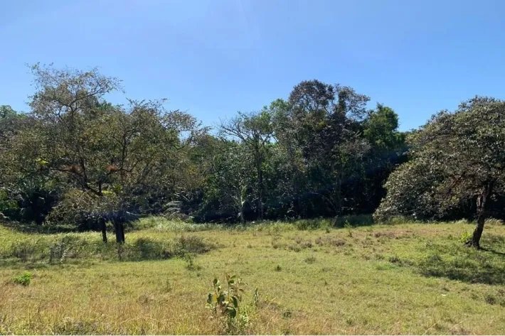 Horse and cattle farm for sale in Playa Hicaco, Santa Catalina, Veraguas