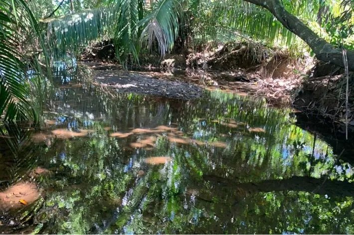 Horse and cattle farm for sale in Playa Hicaco, Santa Catalina, Veraguas