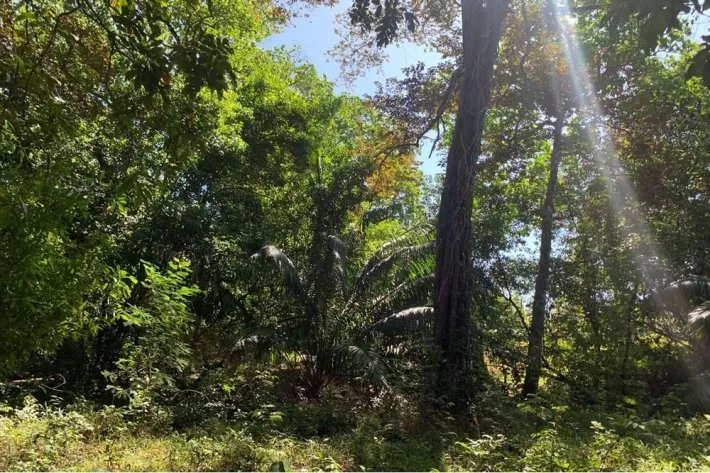 Horse and cattle farm for sale in Playa Hicaco, Santa Catalina, Veraguas