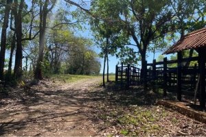 Horse and cattle farm for sale in Playa ...