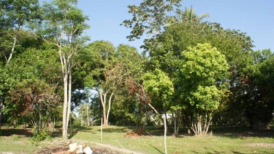 14426 - San carlos - lots