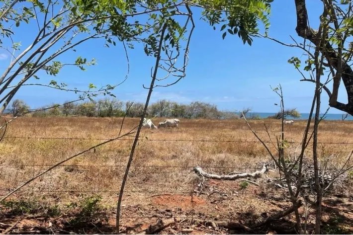 Land for sale in Playa La Candelaria, Pocri, Los Santos