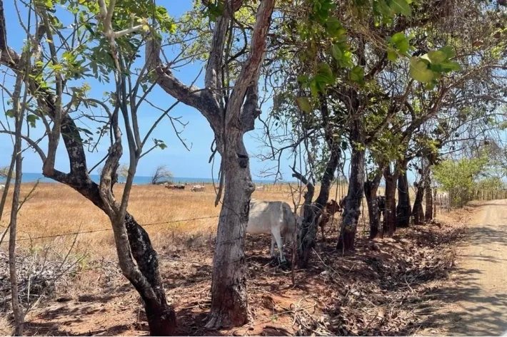 Land for sale in Playa La Candelaria, Pocri, Los Santos