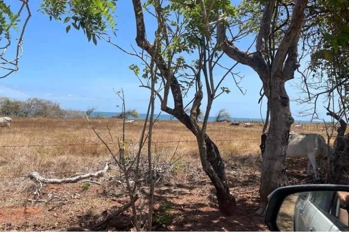 Land for sale in Playa La Candelaria, Pocri, Los Santos
