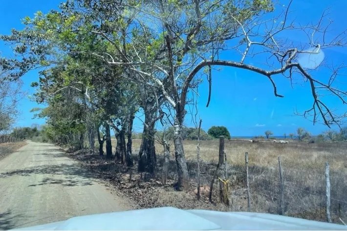Venta de terreno en Playa La Candelaria, Pocrí, Los Santos
