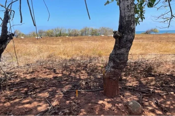 Venta de terreno en Playa La Candelaria, Pocrí, Los Santos