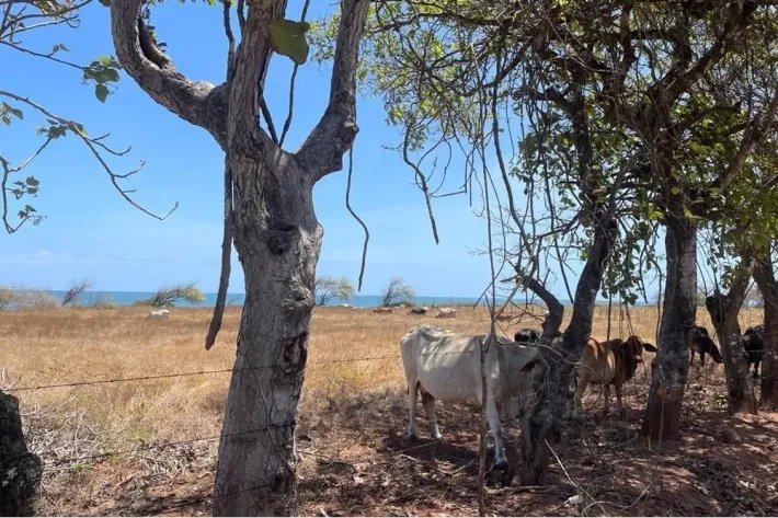 Venta de terreno en Playa La Candelaria, Pocrí, Los Santos