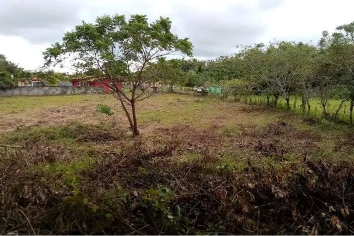 Finca en venta en La Florenciana, Chame