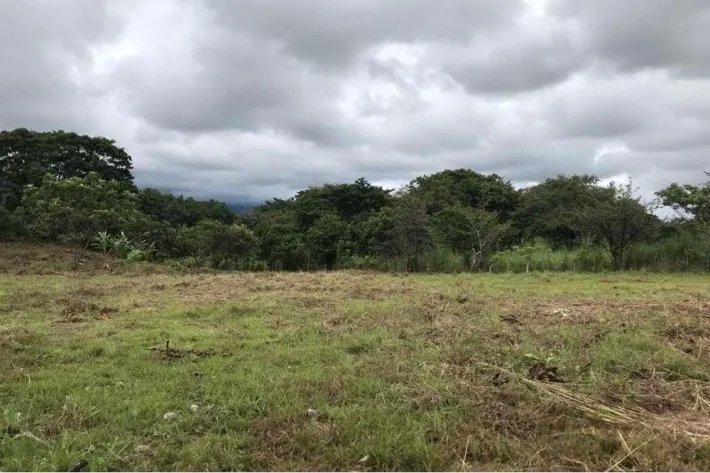 Finca en venta en La Florenciana, Chame