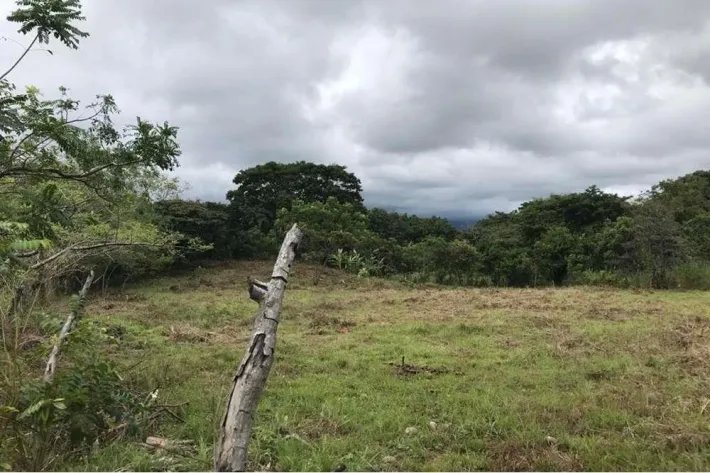 Finca en venta en La Florenciana, Chame