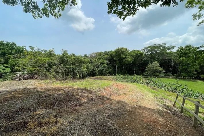 Se vende finca en Viento Frío, Santa Isabel