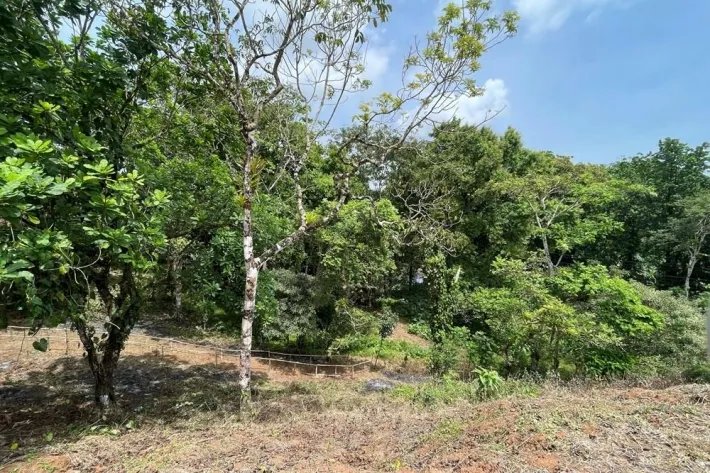 Se vende finca en Viento Frío, Santa Isabel
