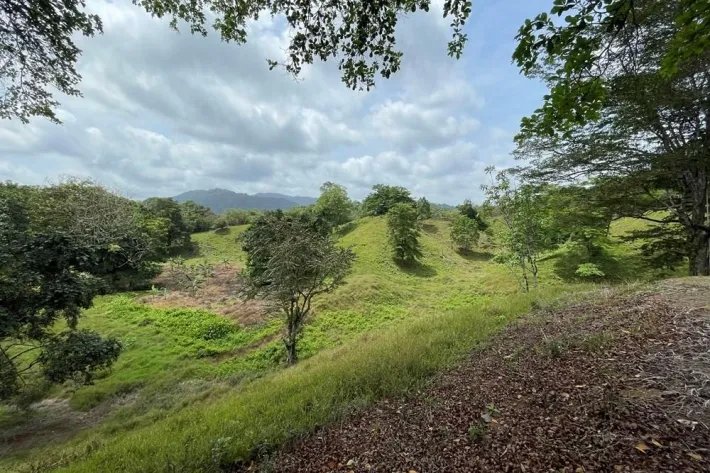 Se vende finca en Viento Frío, Santa Isabel